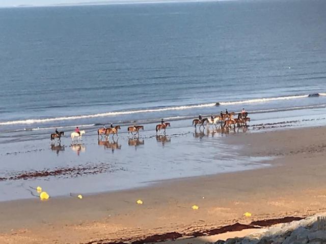 Vue Sur Mer Proche De St Jean De Monts Saint-Hilaire-de-Riez Eksteriør billede